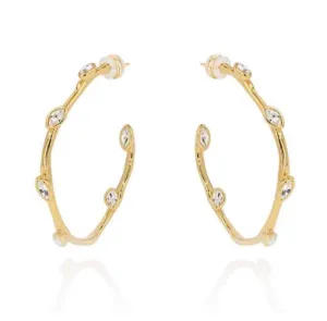 Trishelle CZ Hoop