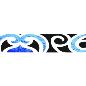 Waves Band