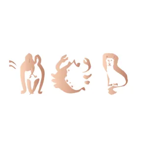 Zodiac Signs Bracelet in Rose Gold